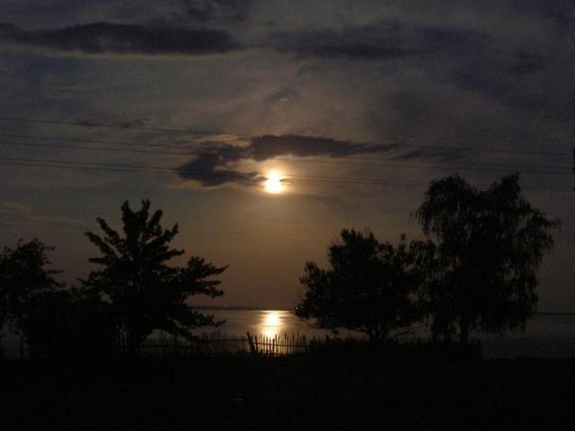 ����....�������� ����