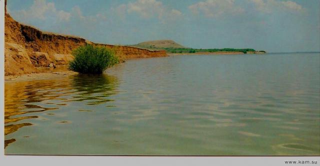 ���� ������� �����