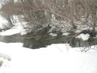 ��� ����� �������� �����, ������� ������?