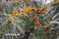 ��������� ������� � ����������� �����