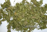 � �������� � ���� ������ ������ ����� 80 ������� ����������