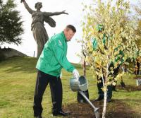 ���������� ����������� �������� ������� ������� ��������� ��� ���?