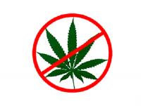 � �������� ������������ ������������� �������� ����