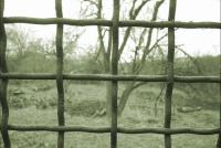 ��������� ������� �� �������� ������ ������������ ������